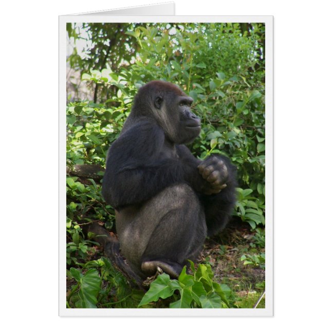 Sitzen, vielleicht nachdenken, aber wahrscheinlich (Vorne)