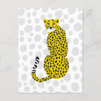 Sitzen Wild Geparden Gepunktet Big Cat Portrait