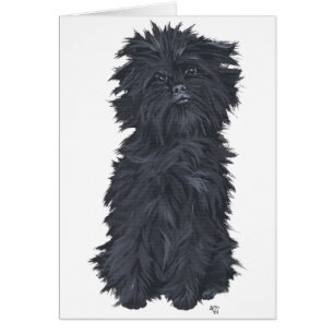 Sitzender Affenpinscher