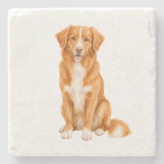 Sitzender Nova Scotia Duck Tolling Retriever Natür Steinuntersetzer
