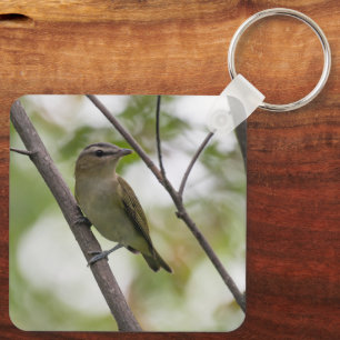 Sitzender Vireo, sanfter Waldvogel Schlüsselanhänger