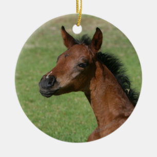 Sitzendes arabisches Fohlen Keramikornament