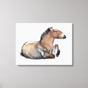 SitzPrzewalski 2011 Leinwanddruck