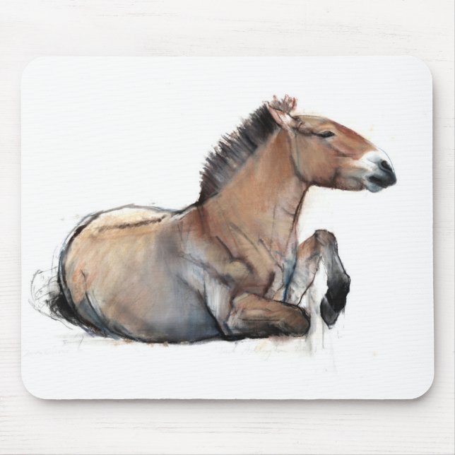 SitzPrzewalski 2011 Mousepad (Vorne)