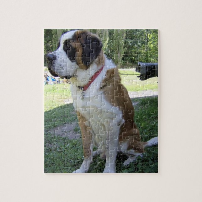 Sitzung am Berner 2 Puzzle (Vertikal)