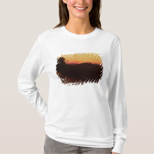 Sitzung von Jakob und von Esau T-Shirt