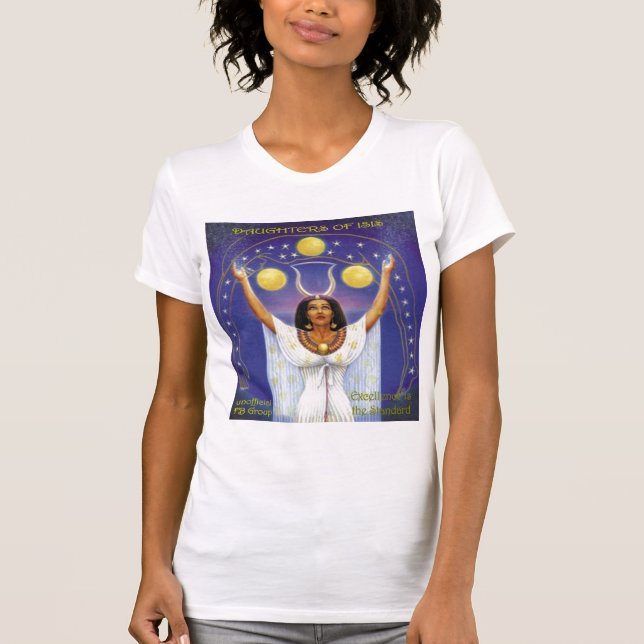 Sitzungs-Behälter 2012 T-Shirt (Vorderseite)