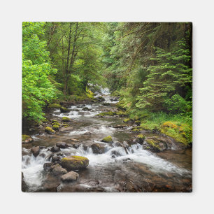 Siuslaw National Forest   Süßcreme Magnet