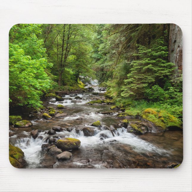 Siuslaw National Forest | Süßcreme Mousepad (Vorne)