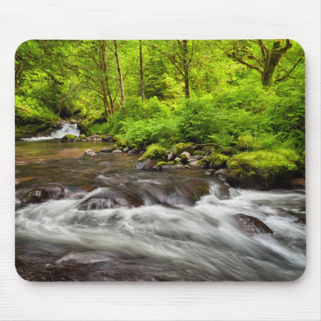 Siuslaw National Forest, Sweet Creek, Oregon Mousepad (Vorne)