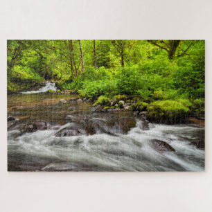 Siuslaw National Forest, Sweet Creek, Oregon Puzzle