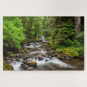Siuslaw National Forest Sweet Creek Puzzle