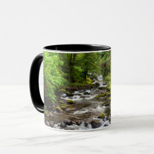 Siuslaw National Forest Sweet Creek Tasse