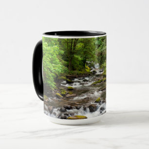 Siuslaw National Forest Sweet Creek Tasse