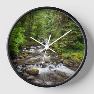Siuslaw National Forest   Sweet Creek Uhr