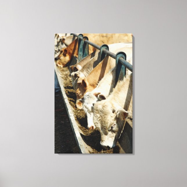 Sizilien, Italien Leinwanddruck (Vorderseite)