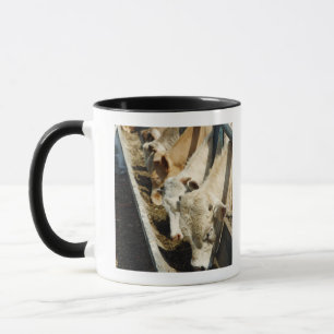 Sizilien, Italien Tasse