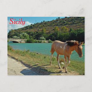 Sizilien Postkarte