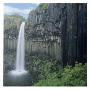 Skaftafell-Nationalpark, Svartifoss-Wasserfall, Fliese