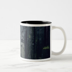 Skaftafell-Nationalpark, Svartifoss-Wasserfall, Zweifarbige Tasse
