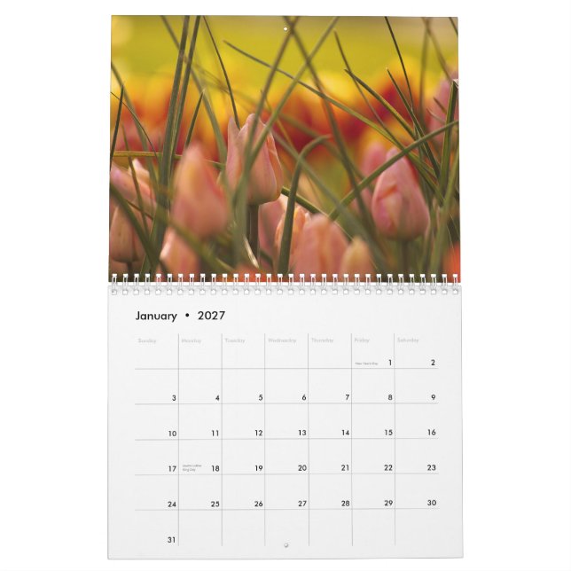 SKAGIT TAL-TULPEN KALENDER (Jan 2027)