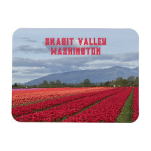 Skagit Valley Washington State Tulpenfeld Kühlschr