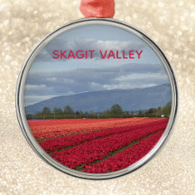 Skagit Valley Washington State Wunderschöne Tulpe 