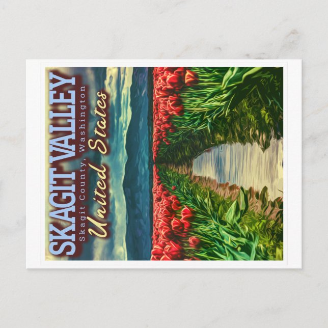 SKAGITALLEY - TULIP FELDER - SKAGIT WASHINGTON POSTKARTE (Vorderseite)