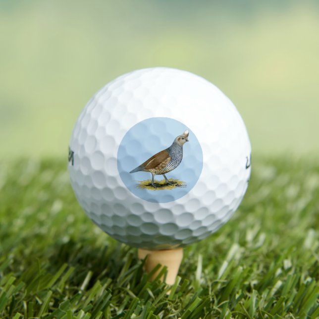 Skala Golfball (Insitu T-Shirt)