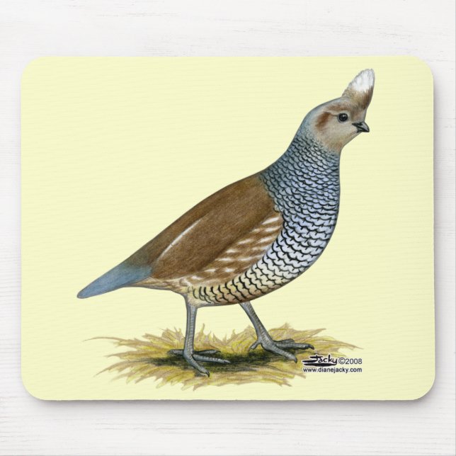 Skala Mousepad (Vorne)