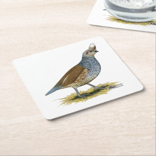 Skala Rechteckiger Pappuntersetzer