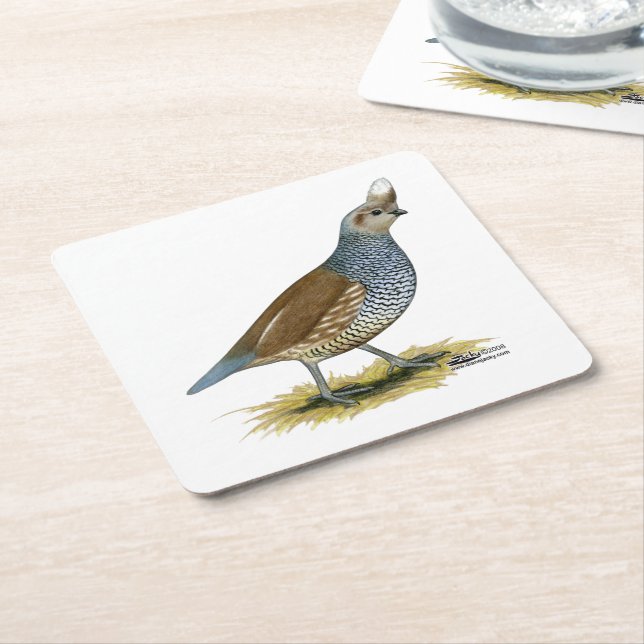 Skala Rechteckiger Pappuntersetzer (angewinkelt)