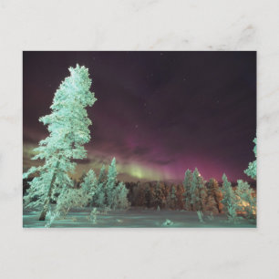 Skandinavien, Finnland, Lappland, Kakslauttanen, Postkarte