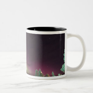 Skandinavien, Finnland, Lappland, Kakslauttanen, Zweifarbige Tasse