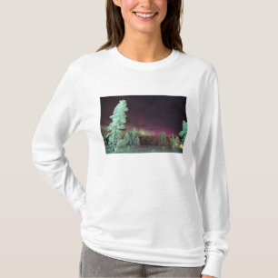Skandinavien, Finnland, Lappland, T-Shirt