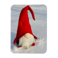 Skandinavier Weihnachtsgenom