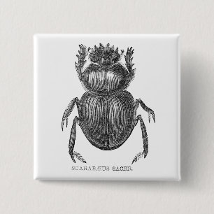 Skarabäus-Käfer Vintage-Tuschezeichnung Button