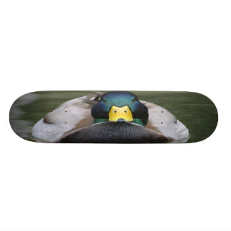 Skate der Ente 2 Skateboard
