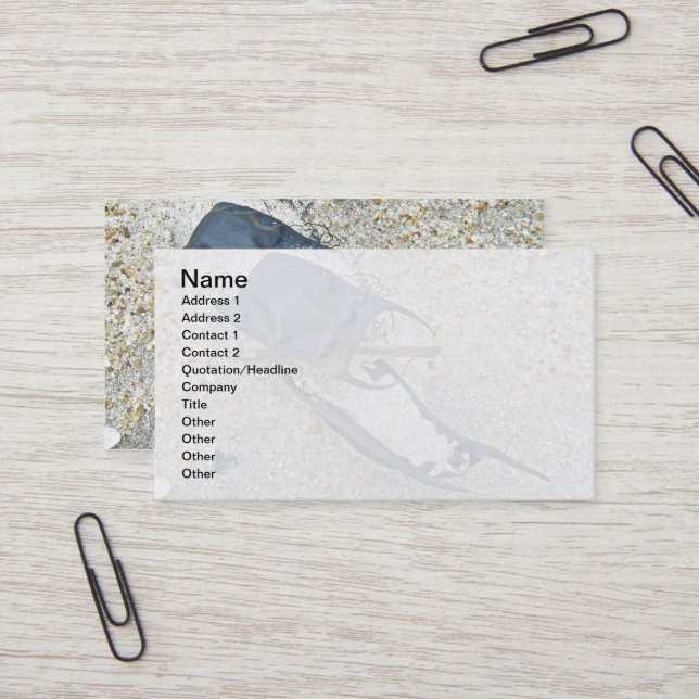 Skate Ei Hüllen am Strand Visitenkarte (Vorderseite/Rückseite Beispiel)