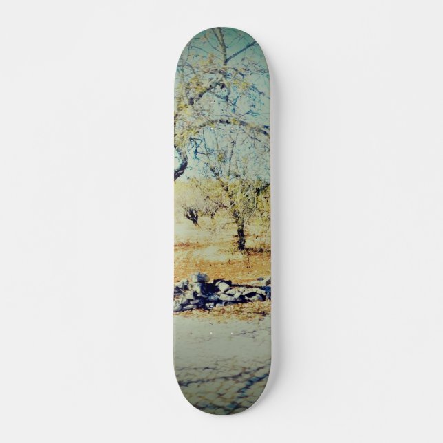 Skate Skateboard (Vorne)