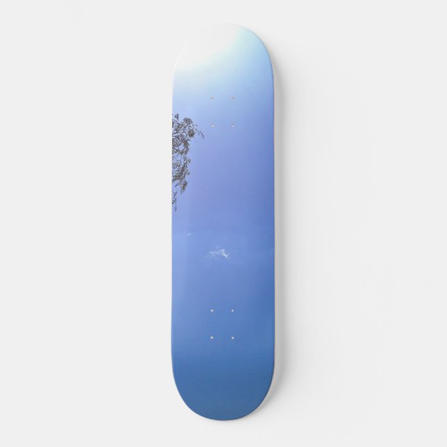 SKATEBOARD  (Vorderseite)