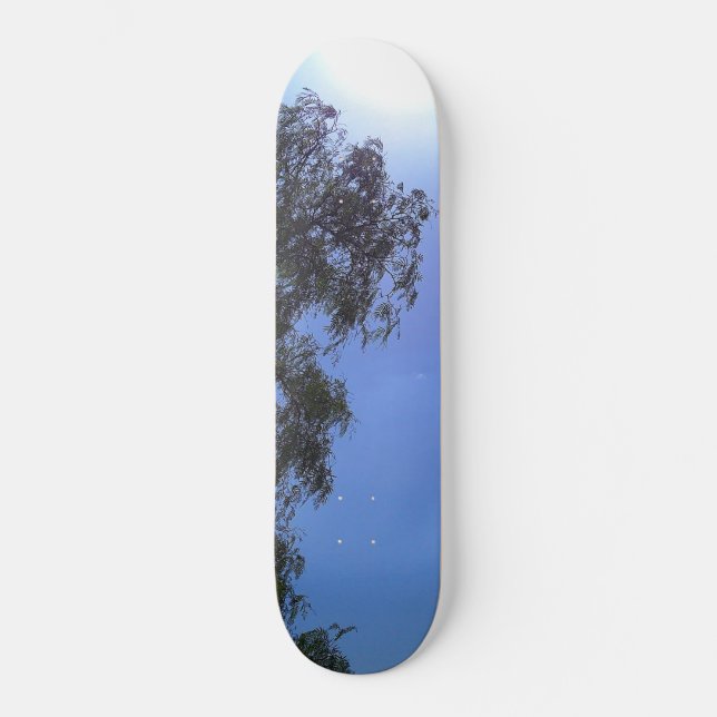 SKATEBOARD  (Vorderseite)