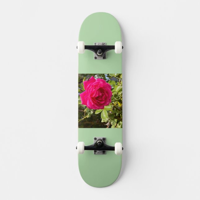 Skateboard (Vorderseite)