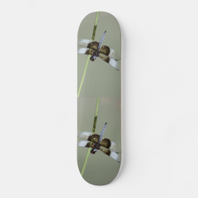 Skateboard (Vorderseite)