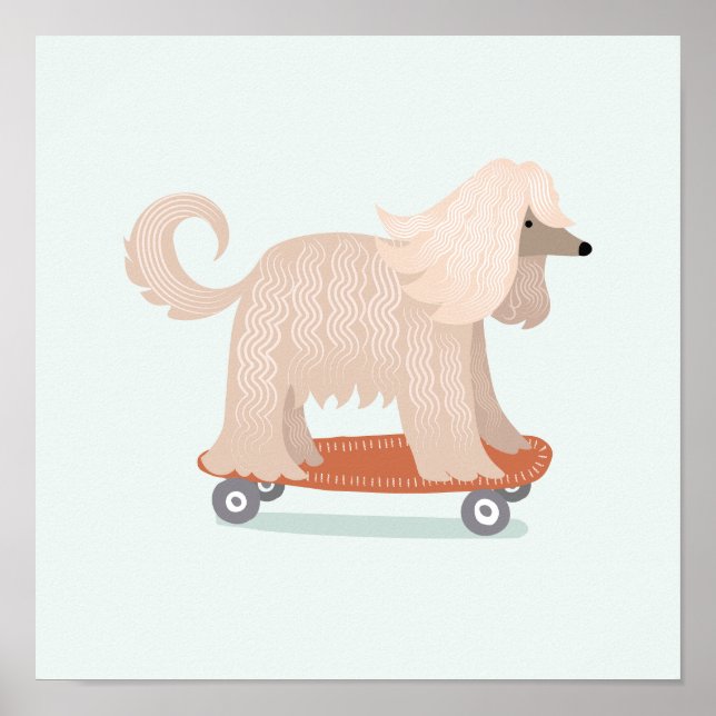 Skateboard Afghane Poster (Vorne)