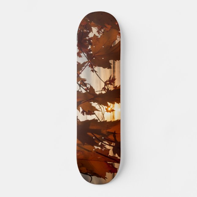 Skateboard Ahornblätter (Vorderseite)