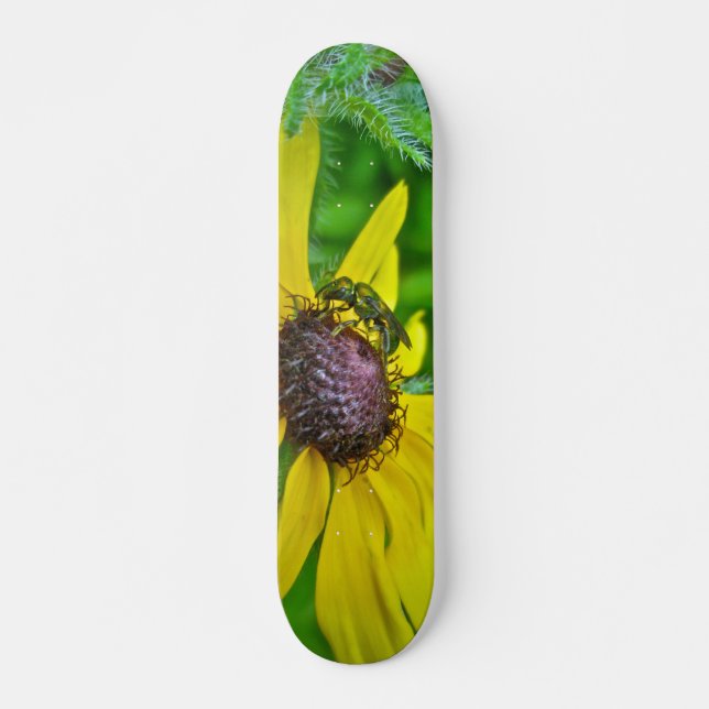 Skateboard Biene und Black Mit Augen Susan (Vorne)