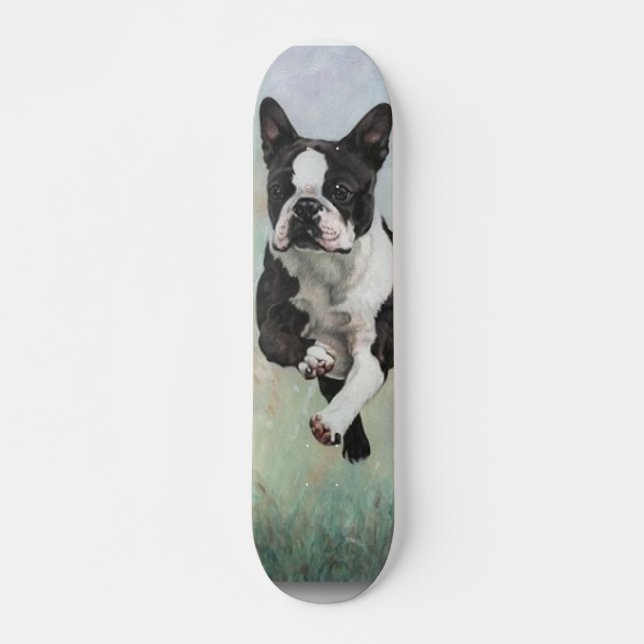 Skateboard Bostons Terrier (Vorne)