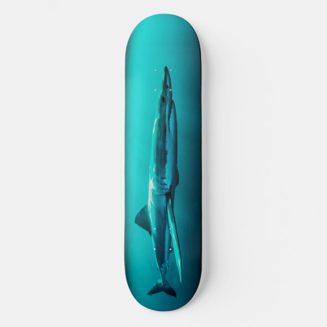 Skateboard Bull Shark Predator. (Vorderseite)