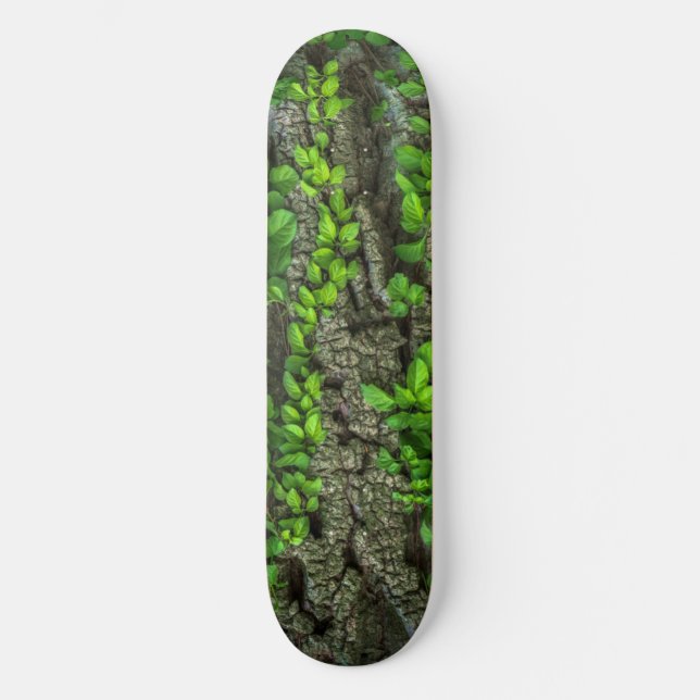 Skateboard Deck der Waldbaume (Vorderseite)